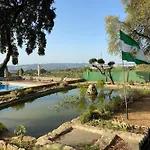 Olivar El Pino Ronda