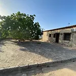 Olivar El Pino Holiday home
