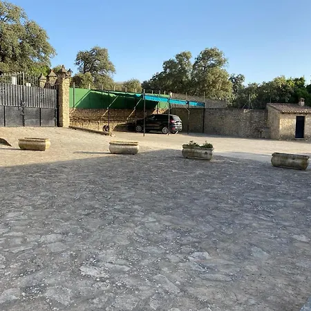 Olivar El Pino Ronda