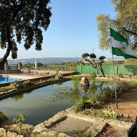 Olivar El Pino Ronda