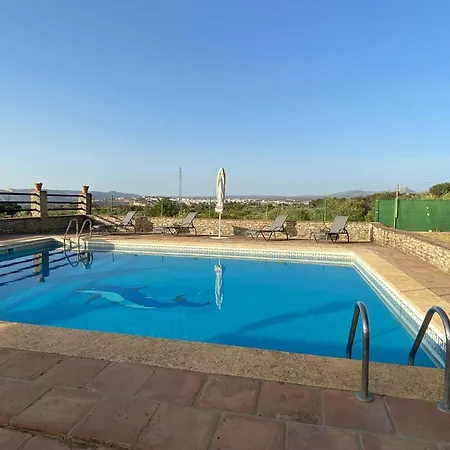 Olivar El Pino *
