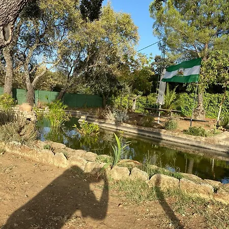 Olivar El Pino Ferienhaus *