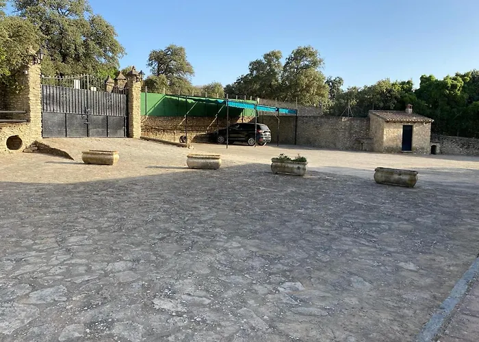 Olivar El Pino Ronda