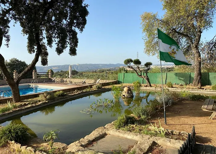 Olivar El Pino Ronda