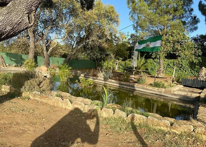 Olivar El Pino Ferienhaus *