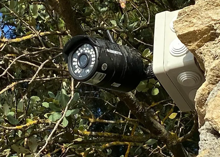 Olivar El Pino * Ronda